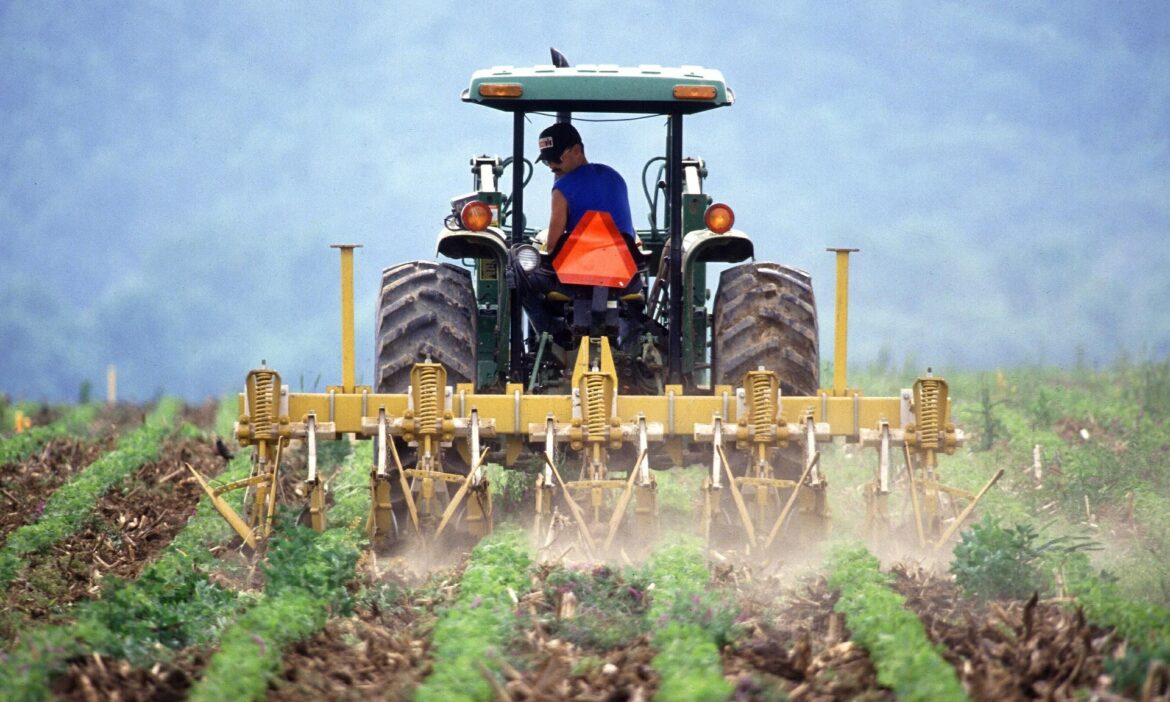 annunci da privati attrezzi agricoli macerata